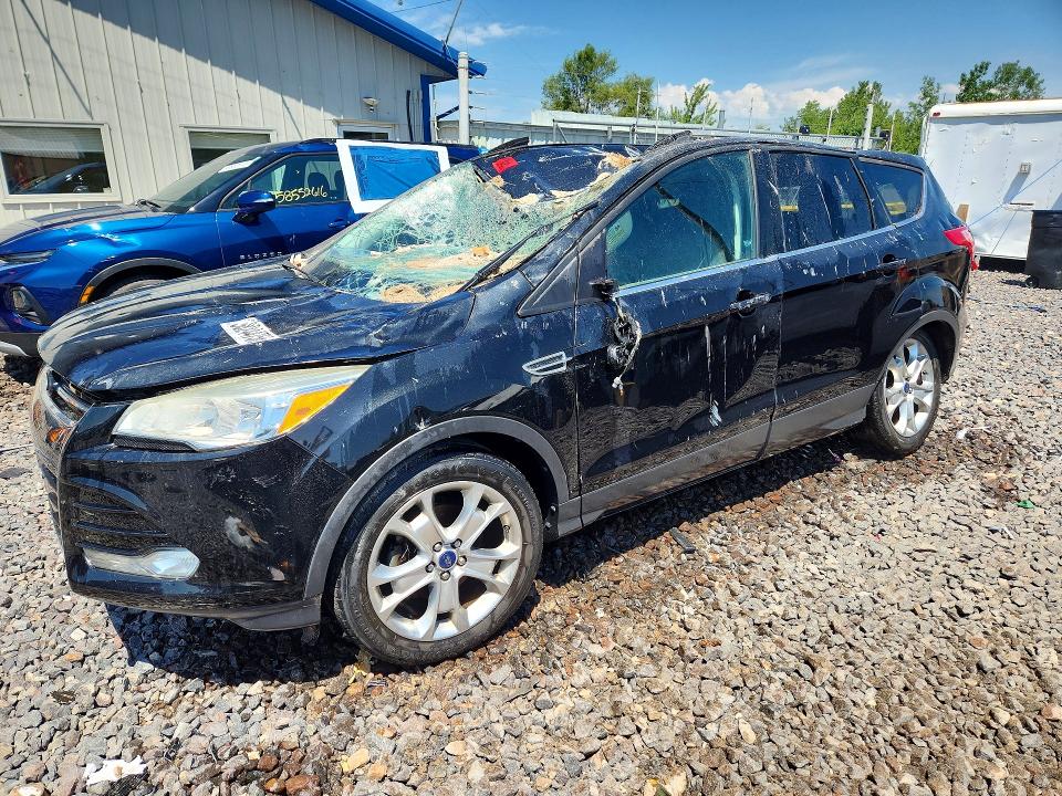 58244756 :رقم المزاد ، 1FMCU0JX0EUC51450 vin ، 2014 Ford Escape مزاد بيع