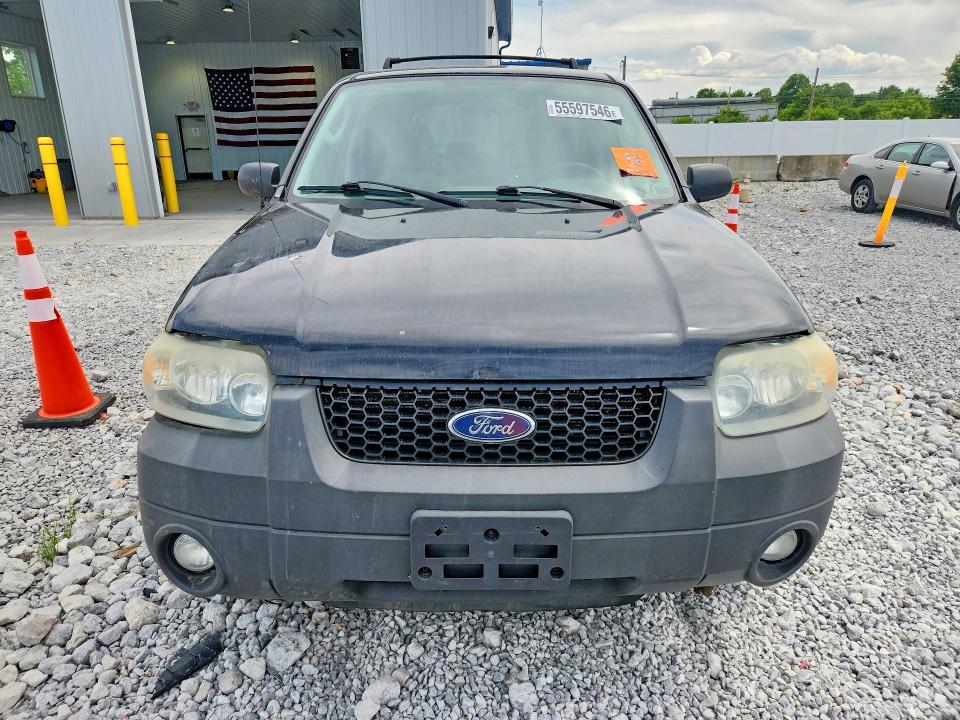 55597546 :رقم المزاد ، 1FMYU03187KB17332 vin ، 2007 Ford Escape مزاد بيع
