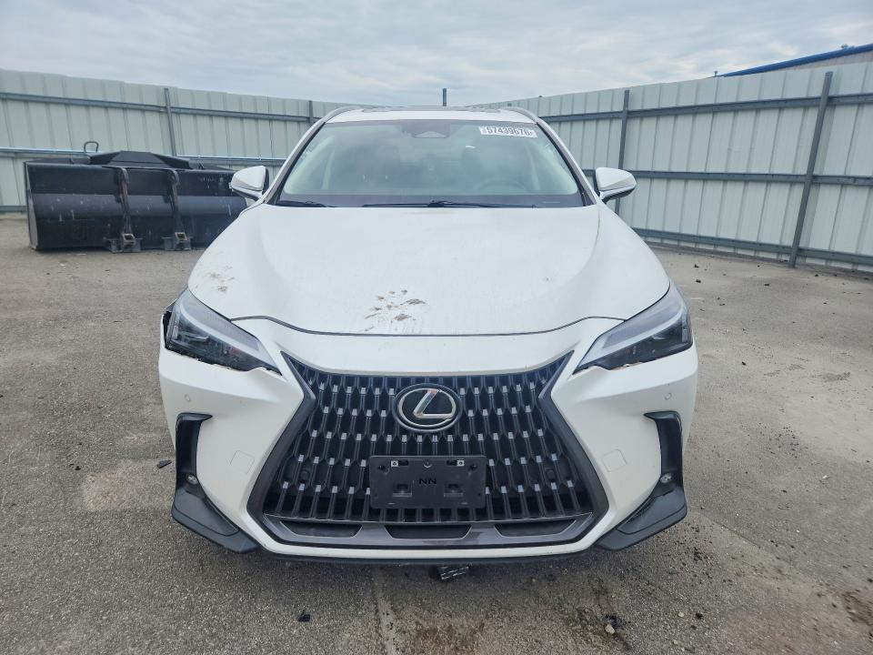 57439676 :رقم المزاد ، JTJGGCEZ2P5005584 vin ، 2023 Lexus Nx مزاد بيع