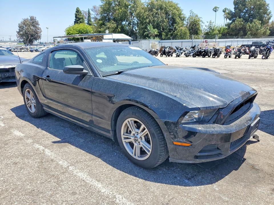 55636786 :رقم المزاد ، 1ZVBP8AM8D5282401 vin ، 2013 Ford Mustang مزاد بيع