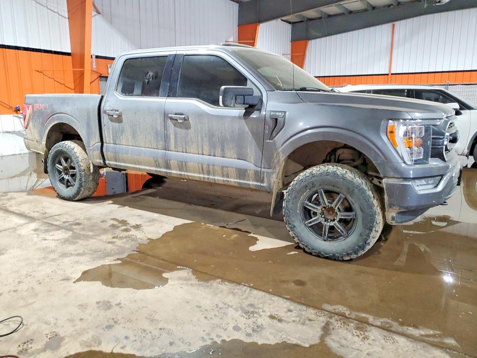 Продаж на аукціоні авто 2021 Ford F150, vin: 1FTFW1E82MFA01134, номер лоту: 52583706