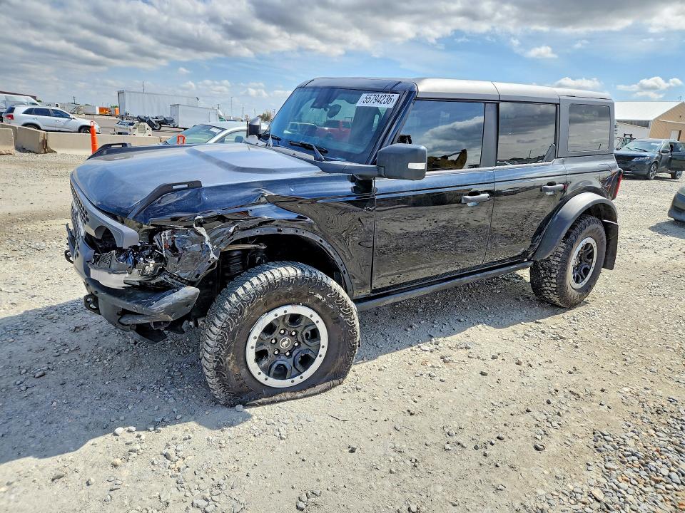 Продажа на аукционе авто 2024 Ford Bronco Base Advanced, vin: 1FMEE9BP7RLA29864, номер лота: 55794236