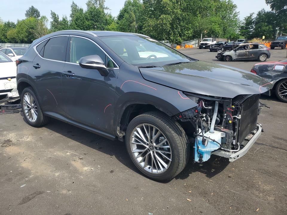2024 Lexus Nx მანქანა იყიდება აუქციონზე, vin: 2T2HGCEZXRC035599, აუქციონის ნომერი: 57749296