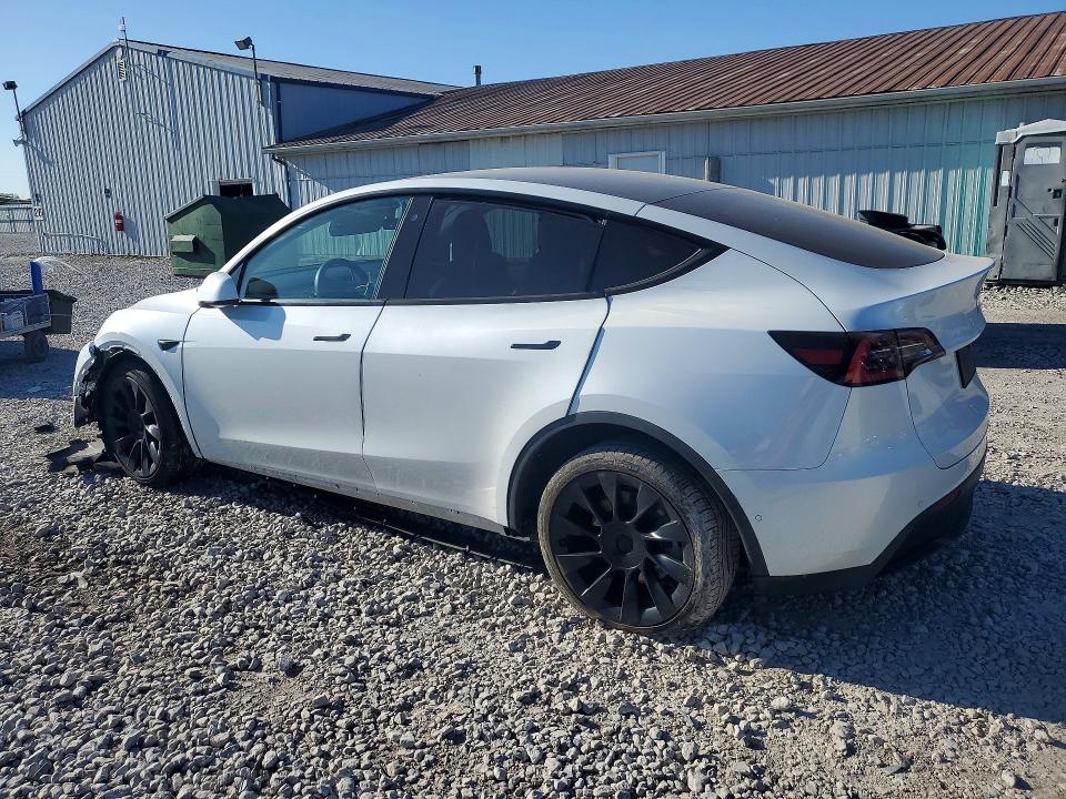 Aukcja sprzedaży 2020 Tesla Model Y, vin: 5YJYGDEE6LF037389, numer aukcji: 55386646