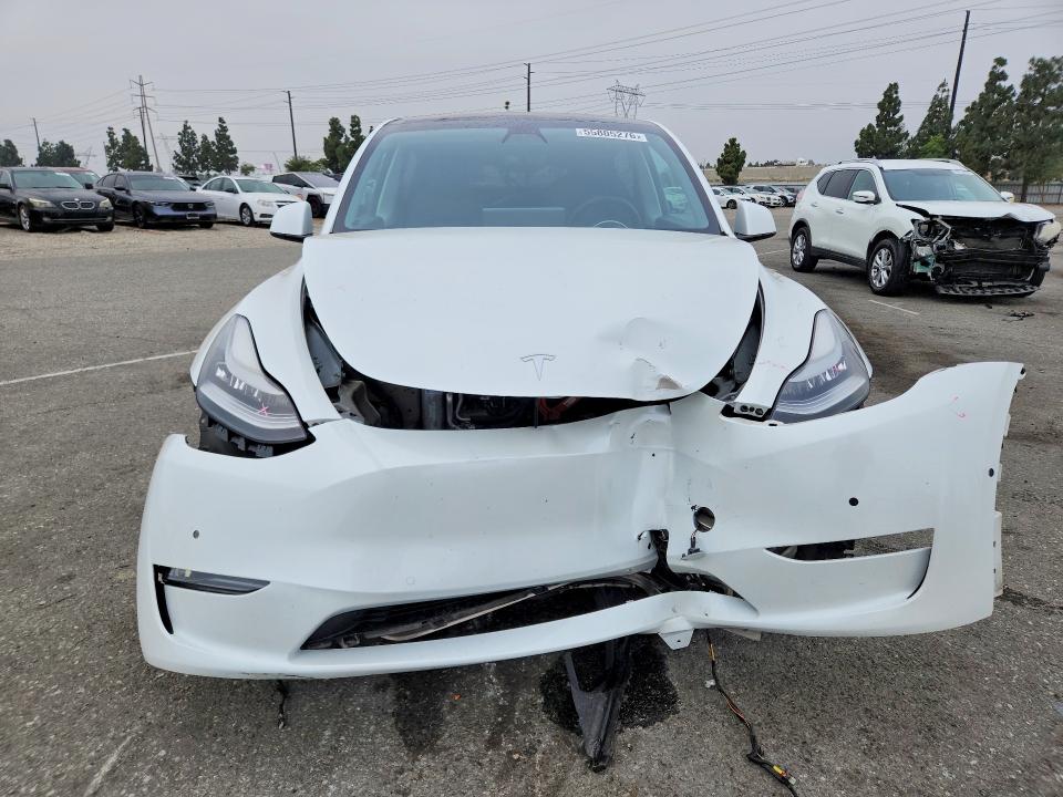 55805276 :رقم المزاد ، 5YJYGDED7MF125909 vin ، 2021 Tesla Model Y مزاد بيع