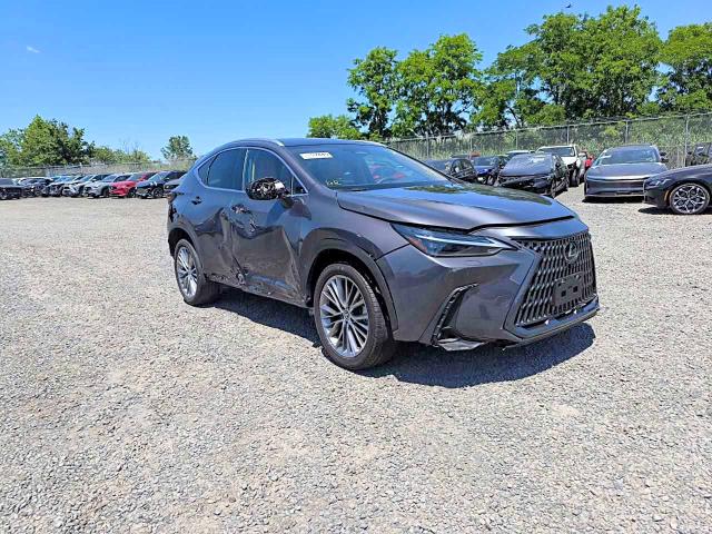 2024 Lexus Nx მანქანა იყიდება აუქციონზე, vin: 2T2HGCEZ6RC047359, აუქციონის ნომერი: 56097476