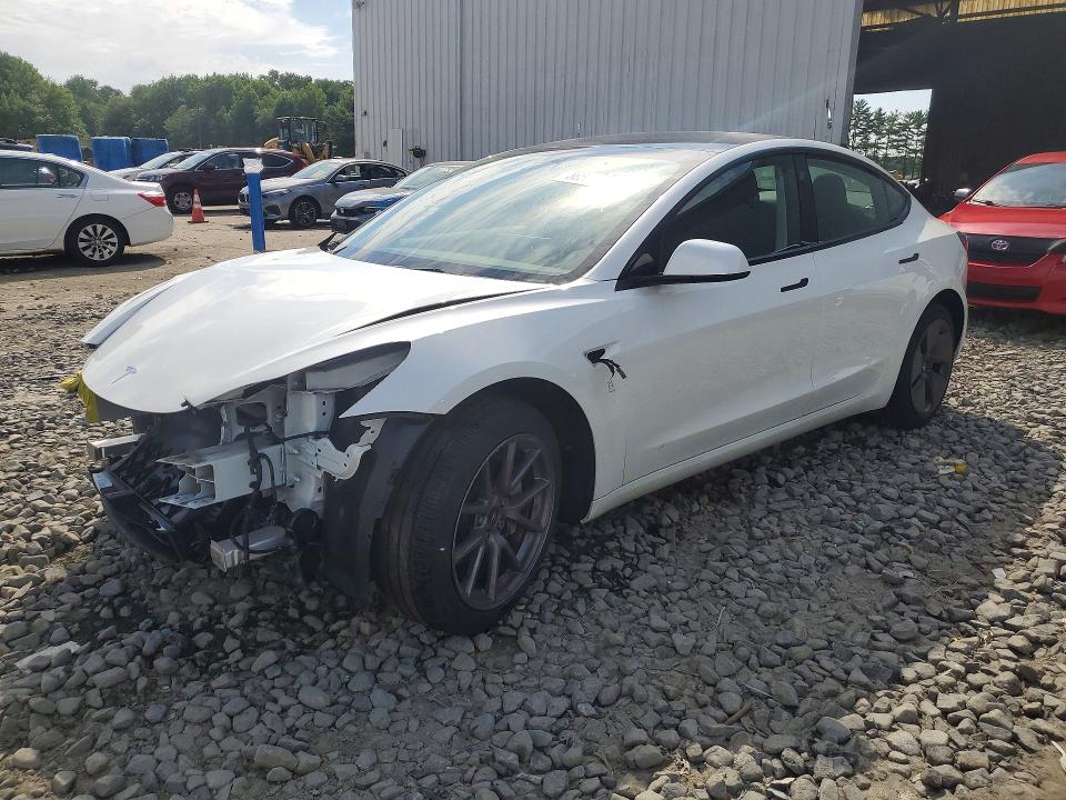 Продажа на аукционе авто 2023 Tesla Model 3, vin: 5YJ3E1EA7PF478983, номер лота: 58595646