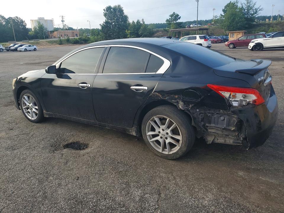Продаж на аукціоні авто 2011 Nissan Maxima, vin: 1N4AA5AP1BC813008, номер лоту: 59281496