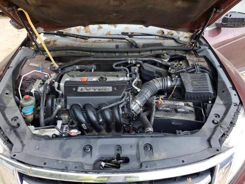 58533416 :رقم المزاد ، 5J6TF3H30DL000526 vin ، 2013 Honda Crosstour مزاد بيع