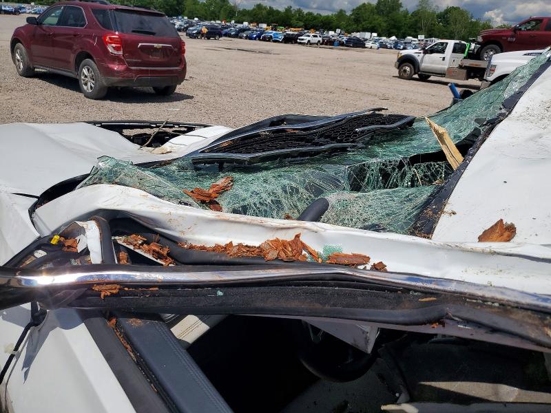 Aukcja sprzedaży 2025 Volkswagen Tiguan, vin: 3VVMR7RM8SM020567, numer aukcji: 57386096