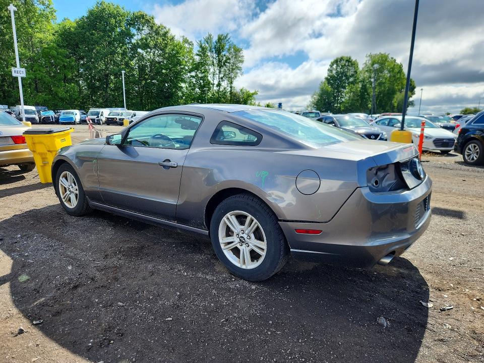 Aukcja sprzedaży 2014 Ford Mustang, vin: 1ZVBP8AMXE5297791, numer aukcji: 54836896
