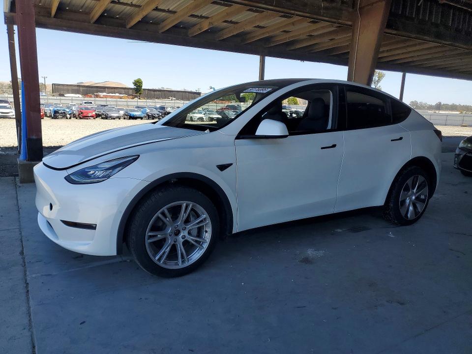 56176896 :رقم المزاد ، 7SAYGDEE3NF354195 vin ، 2022 Tesla Model Y مزاد بيع