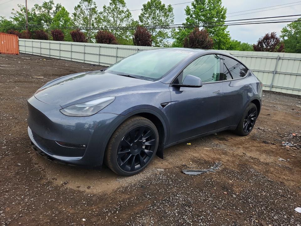 Продаж на аукціоні авто 2023 Tesla Model Y, vin: 7SAYGDEEXPF698951, номер лоту: 57942226