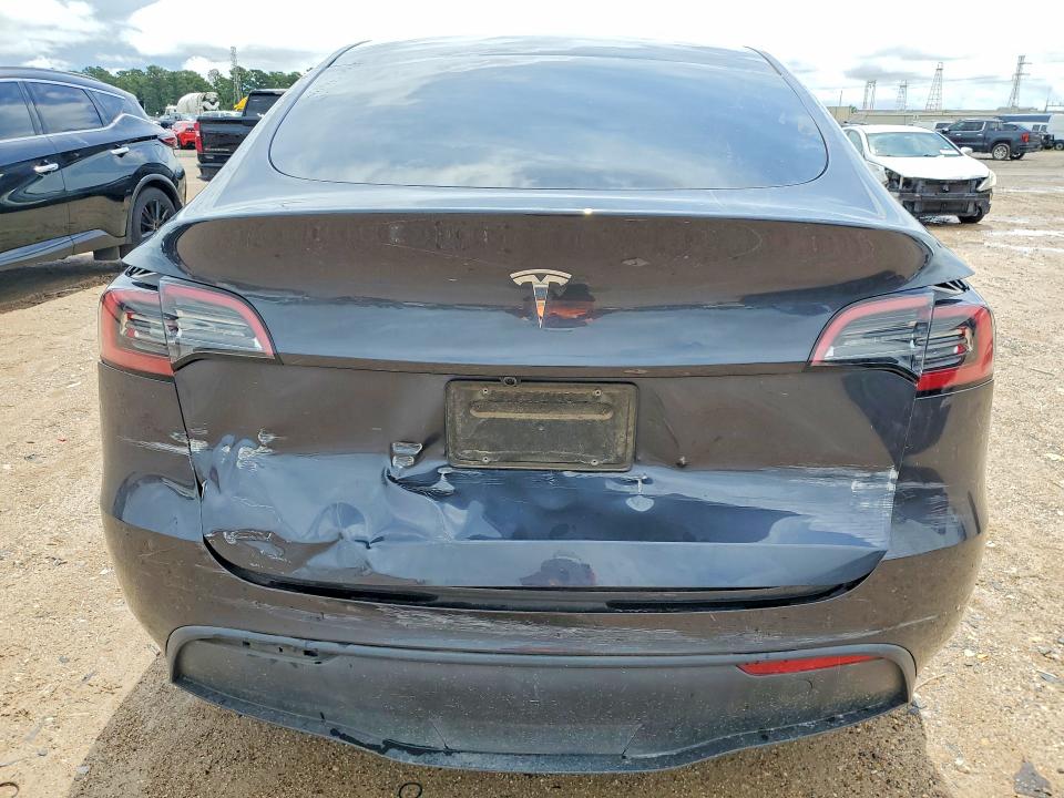 Продажа на аукционе авто 2025 Tesla Model Y, vin: 7SAYGDED1SA343504, номер лота: 53812696