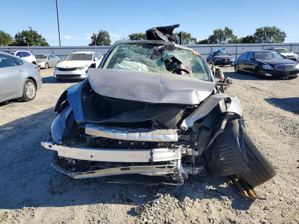 58782526 :رقم المزاد ، 7SAYGDEE9RF113828 vin ، 2024 Tesla Model Y مزاد بيع