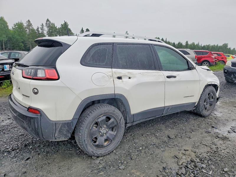 56574216 :رقم المزاد ، 1C4PJLAB4KD193486 vin ، 2019 Jeep Cherokee مزاد بيع
