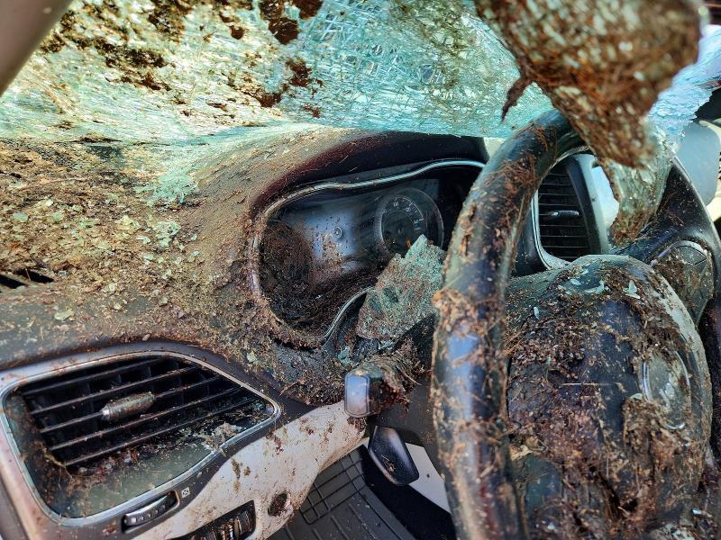 Aukcja sprzedaży 2021 Jeep Cherokee, vin: 1C4PJMMX0MD181531, numer aukcji: 58195866