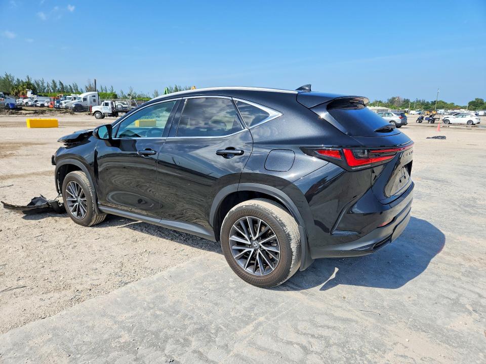 2024 Lexus Nx მანქანა იყიდება აუქციონზე, vin: 2T2GDCAZ5RC007509, აუქციონის ნომერი: 57884766