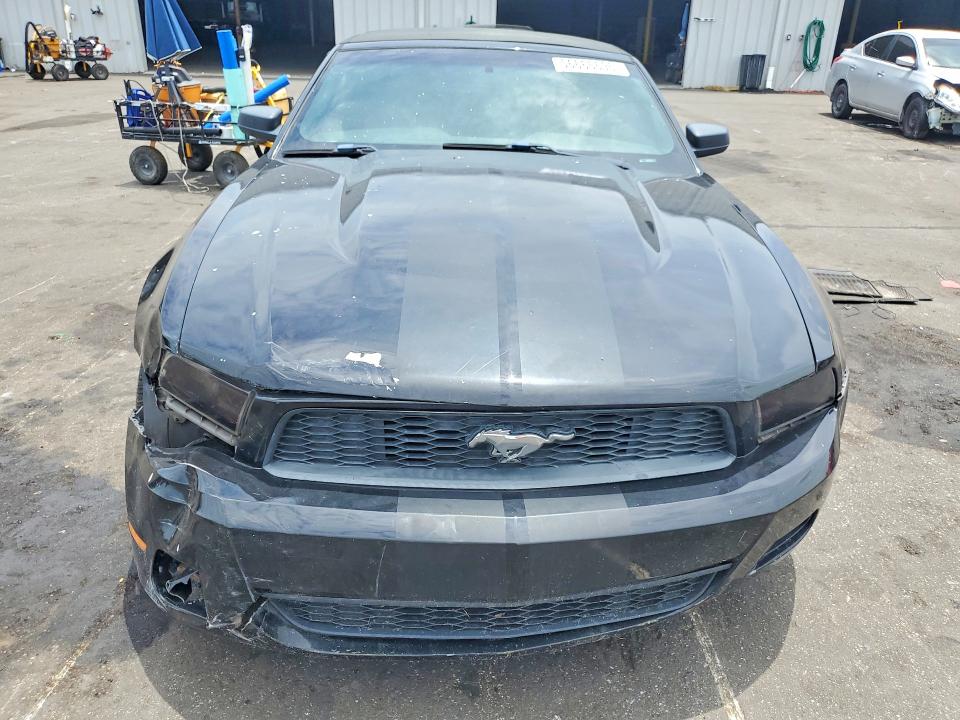 Продаж на аукціоні авто 2011 Ford Mustang, vin: 1ZVBP8EM5B5108907, номер лоту: 56666696