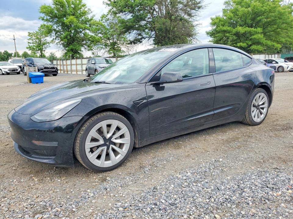 Продаж на аукціоні авто 2023 Tesla Model 3, vin: 5YJ3E1EA1PF428466, номер лоту: 57918586