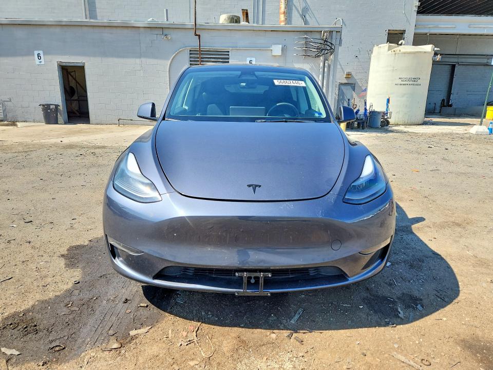 Auction sale of the 2023 Tesla Model Y, vin: 7SAYGDEE0PF608559, lot number: 56862446