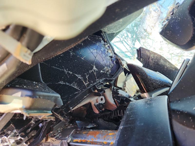 55770256 :رقم المزاد ، 5UXTA6C05P9P80123 vin ، 2023 Bmw X5 مزاد بيع