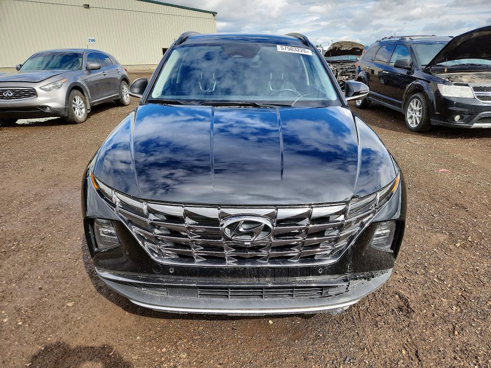 Продажа на аукционе авто 2024 Hyundai Tucson, vin: KM8JCCD14RU181914, номер лота: 57503226