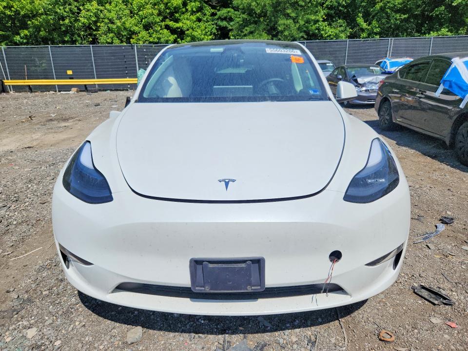 Продажа на аукционе авто 2024 Tesla Model Y, vin: 7SAYGAEEXRF994926, номер лота: 55603206