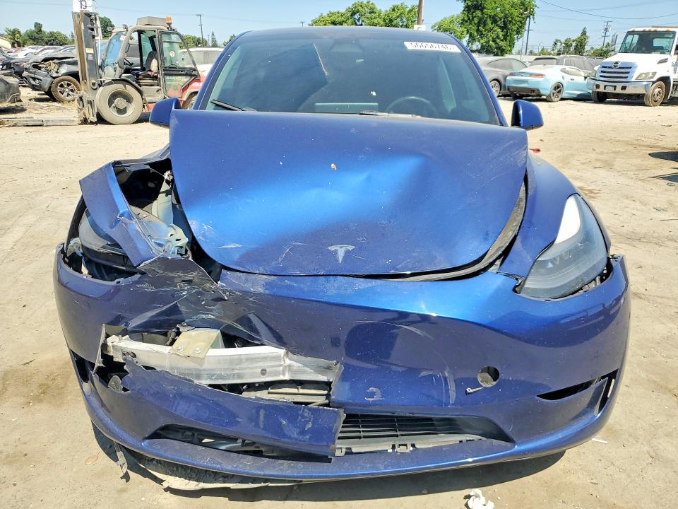 Продаж на аукціоні авто 2023 Tesla Model Y, vin: 7SAYGDEF3PF599185, номер лоту: 56656746