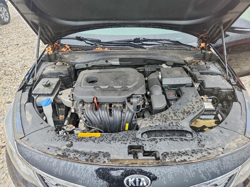 55932296 :رقم المزاد ، 5XXGT4L34KG300144 vin ، 2019 Kia Optima مزاد بيع