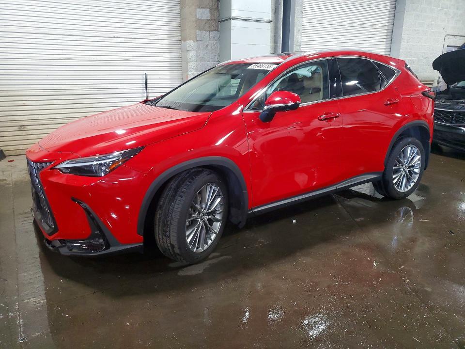 55966116 :رقم المزاد ، 2T2HGCEZ5RC055209 vin ، 2024 Lexus Nx مزاد بيع
