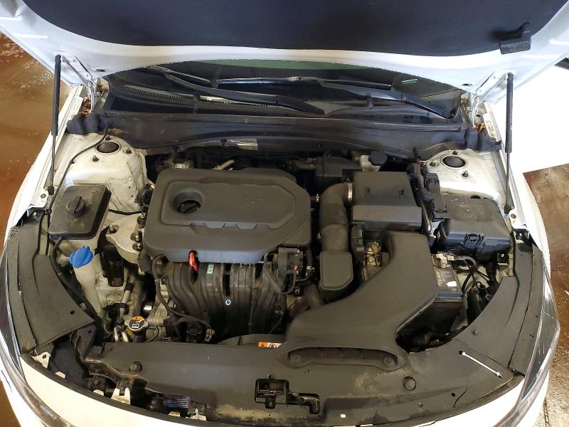 55772536 :رقم المزاد ، 5XXGT4L33LG436038 vin ، 2020 Kia Optima مزاد بيع