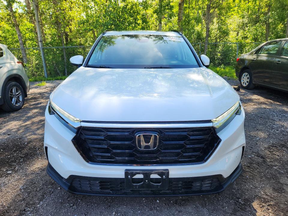 57544876 :رقم المزاد ، 2HKRS4H57RH106549 vin ، 2024 Honda Cr-v مزاد بيع