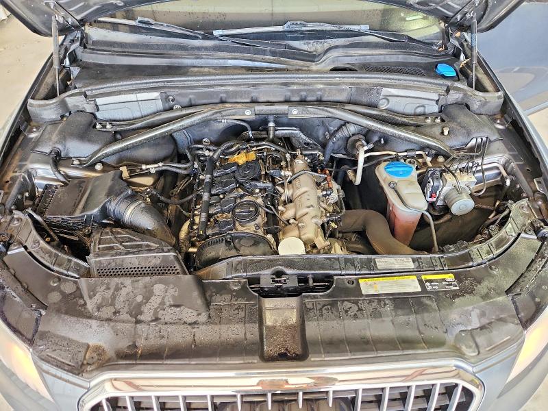 56641786 :رقم المزاد ، WA1CFAFP5DA025699 vin ، 2013 Audi Q5 مزاد بيع