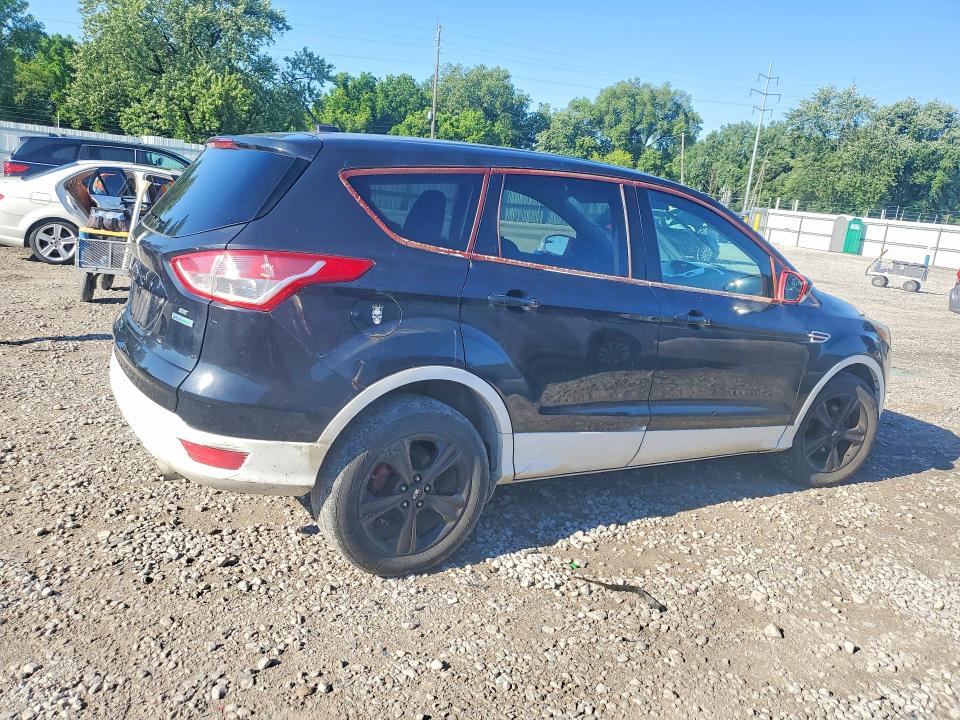 Продаж на аукціоні авто 2014 Ford Escape, vin: 1FMCU0GX9EUD30235, номер лоту: 58439066