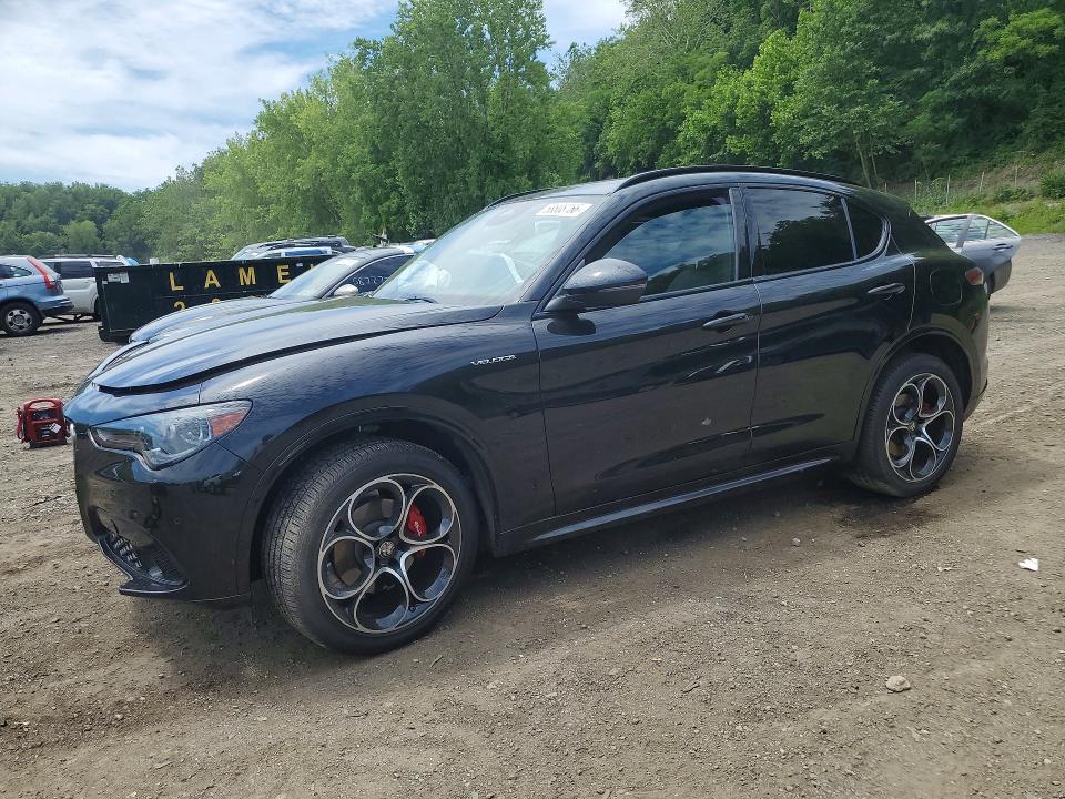 Продаж на аукціоні авто 2025 Alfa Romeo Stelvio, vin: ZASPAKANXS7E03647, номер лоту: 58808766