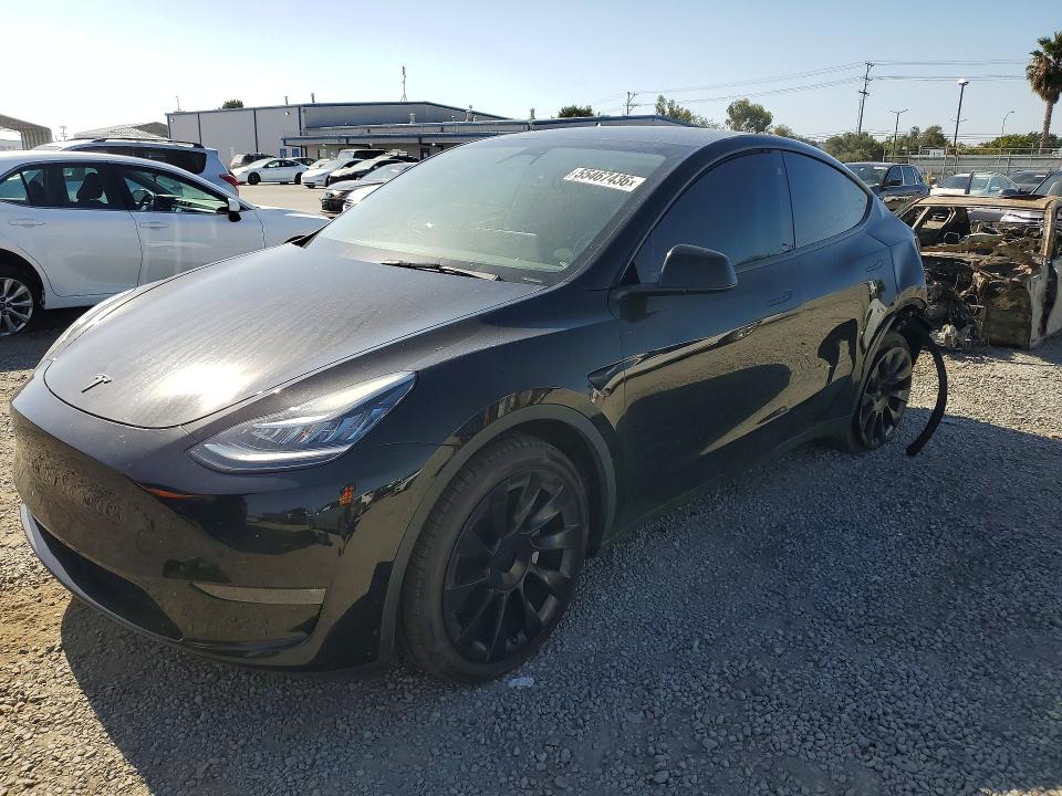 Продажа на аукционе авто 2023 Tesla Model Y, vin: 7SAYGDEEXPA102766, номер лота: 55467436