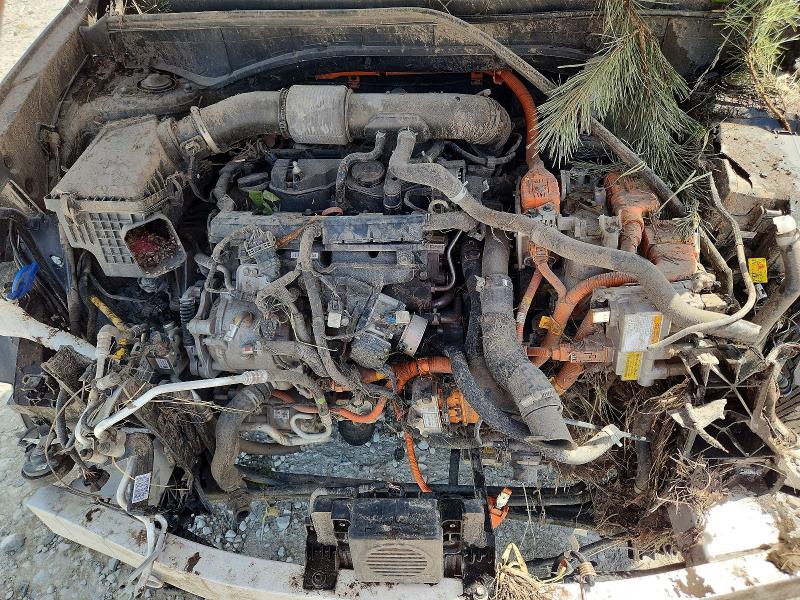 2022 Kia Sorento მანქანა იყიდება აუქციონზე, vin: KNDRMDLH7N5080749, აუქციონის ნომერი: 55592286