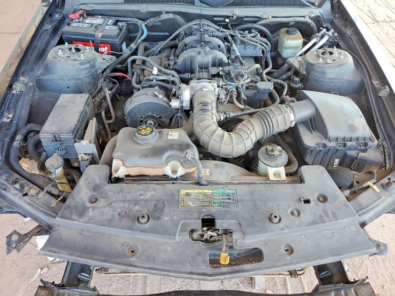 55794376 :رقم المزاد ، 1ZVFT80NX55234889 vin ، 2005 Ford Mustang مزاد بيع