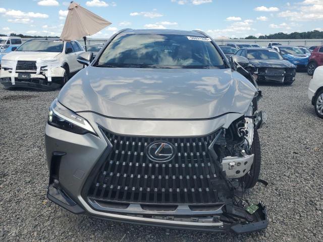 Aukcja sprzedaży 2025 Lexus Nx, vin: 2T2GGCEZ9SC071043, numer aukcji: 56031336