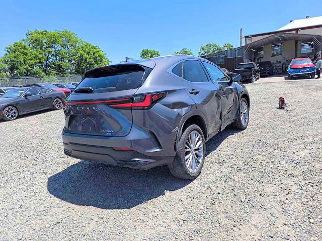 2024 Lexus Nx მანქანა იყიდება აუქციონზე, vin: 2T2HGCEZ6RC047359, აუქციონის ნომერი: 56097476
