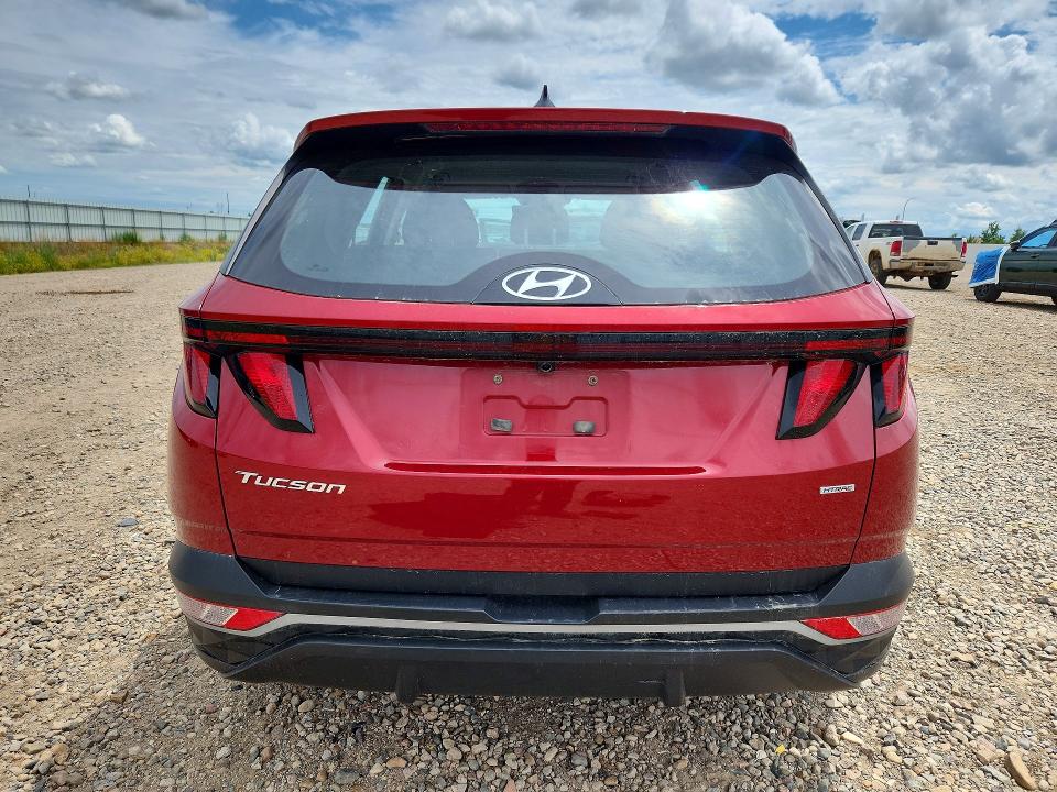 Продаж на аукціоні авто 2024 Hyundai Tucson, vin: 5NMJACDE3RH432491, номер лоту: 58271496