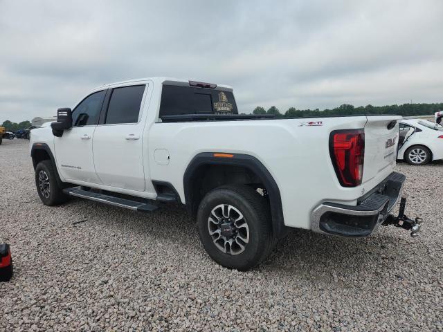 Продаж на аукціоні авто 2024 Gmc Sierra, vin: 1GT49MEY7RF341158, номер лоту: 58038716