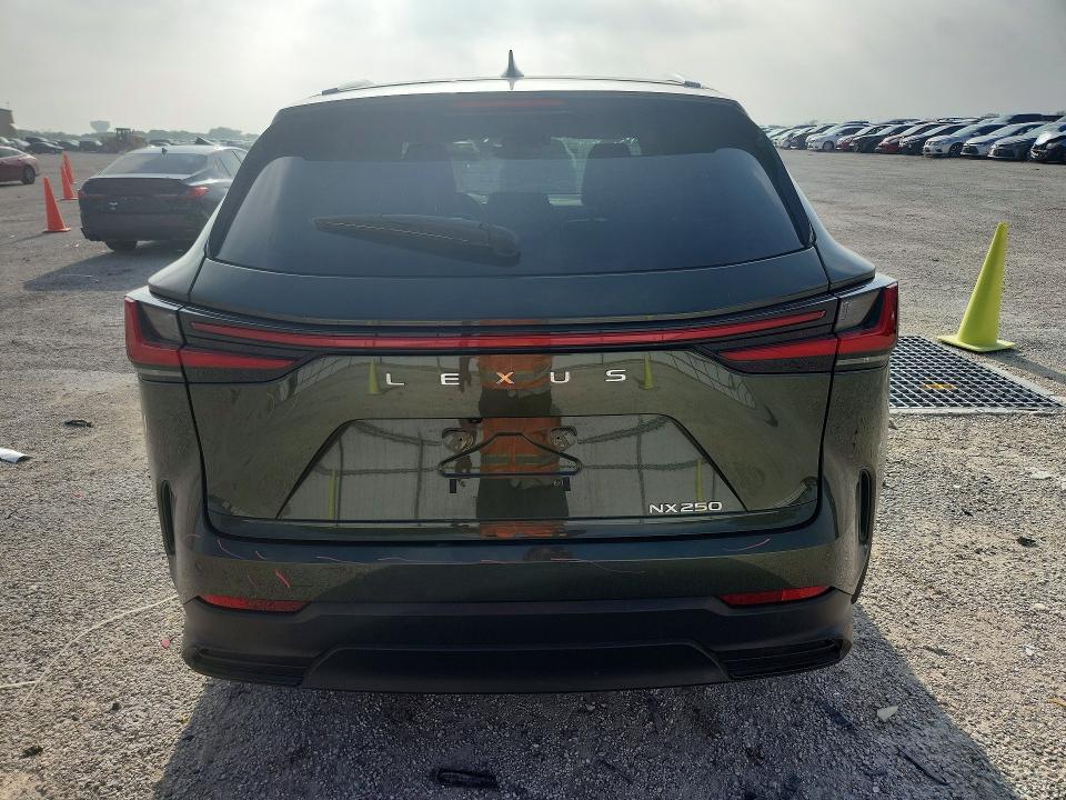 Продажа на аукционе авто 2025 Lexus Nx 250, vin: 2T2ADCAZ3SC021596, номер лота: 57447576