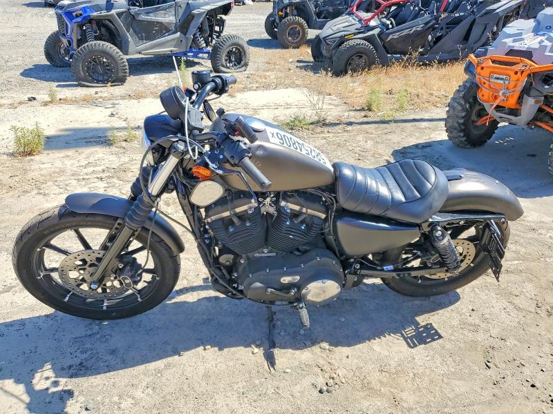58254806 :رقم المزاد ، 1HD4LE220MB406986 vin ، 2021 Harley-davidson Xl883 مزاد بيع