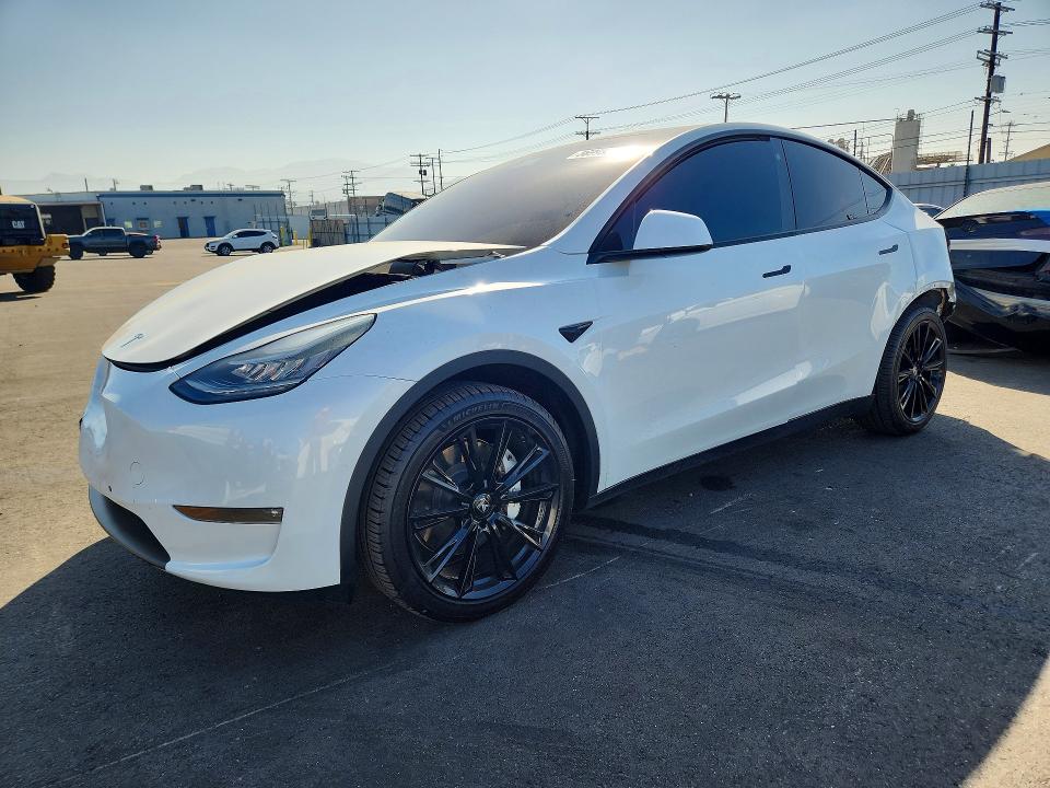 56995346 :رقم المزاد ، 5YJYGDEE7MF202643 vin ، 2021 Tesla Model Y مزاد بيع