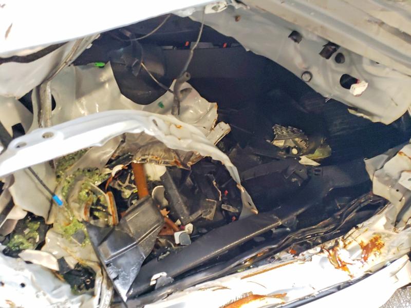 Продаж на аукціоні авто 2024 Toyota Corolla Hybrid, vin: JTDBCMFE2RJ022695, номер лоту: 55699756