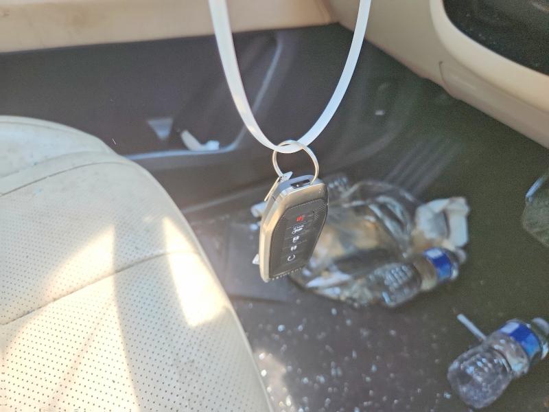 55546046 :رقم المزاد ، 5N1AL1FS8SC337071 vin ، 2025 Infiniti Qx60 مزاد بيع