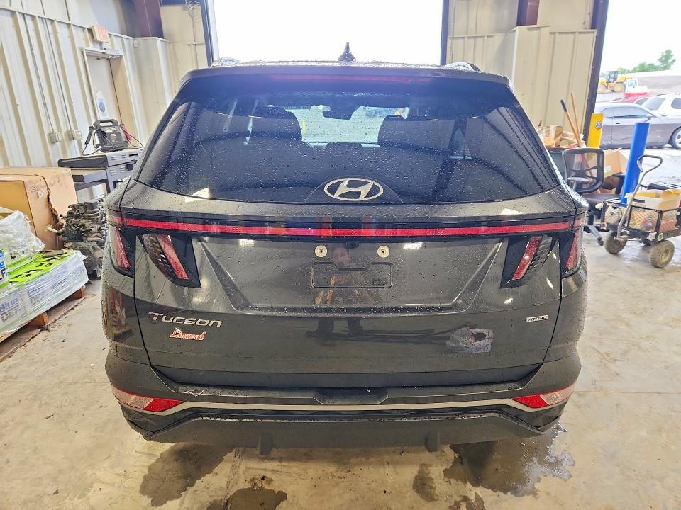 2023 Hyundai Tucson მანქანა იყიდება აუქციონზე, vin: 5NMJBCAE8PH203755, აუქციონის ნომერი: 56870666