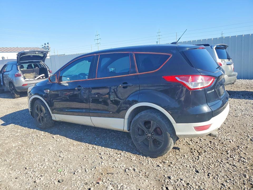 Продаж на аукціоні авто 2014 Ford Escape, vin: 1FMCU0GX9EUD30235, номер лоту: 58439066